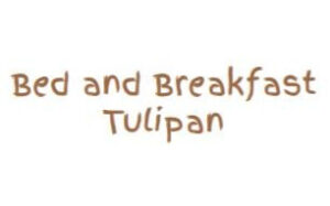 BB Tulipan Logo