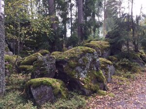 skog och sten